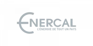 Logo of ENERCAL - grey