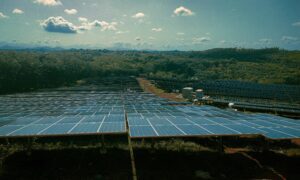Island solar plant on a hill with ocean backdrop